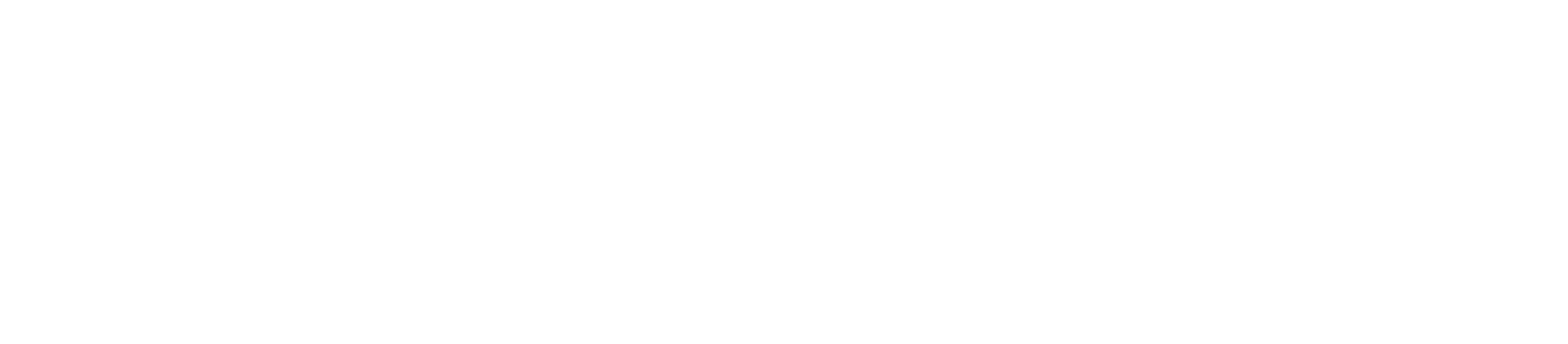 DolphinX
